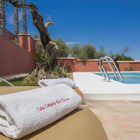 Cubo's Finca Las Palmeras Holiday home *